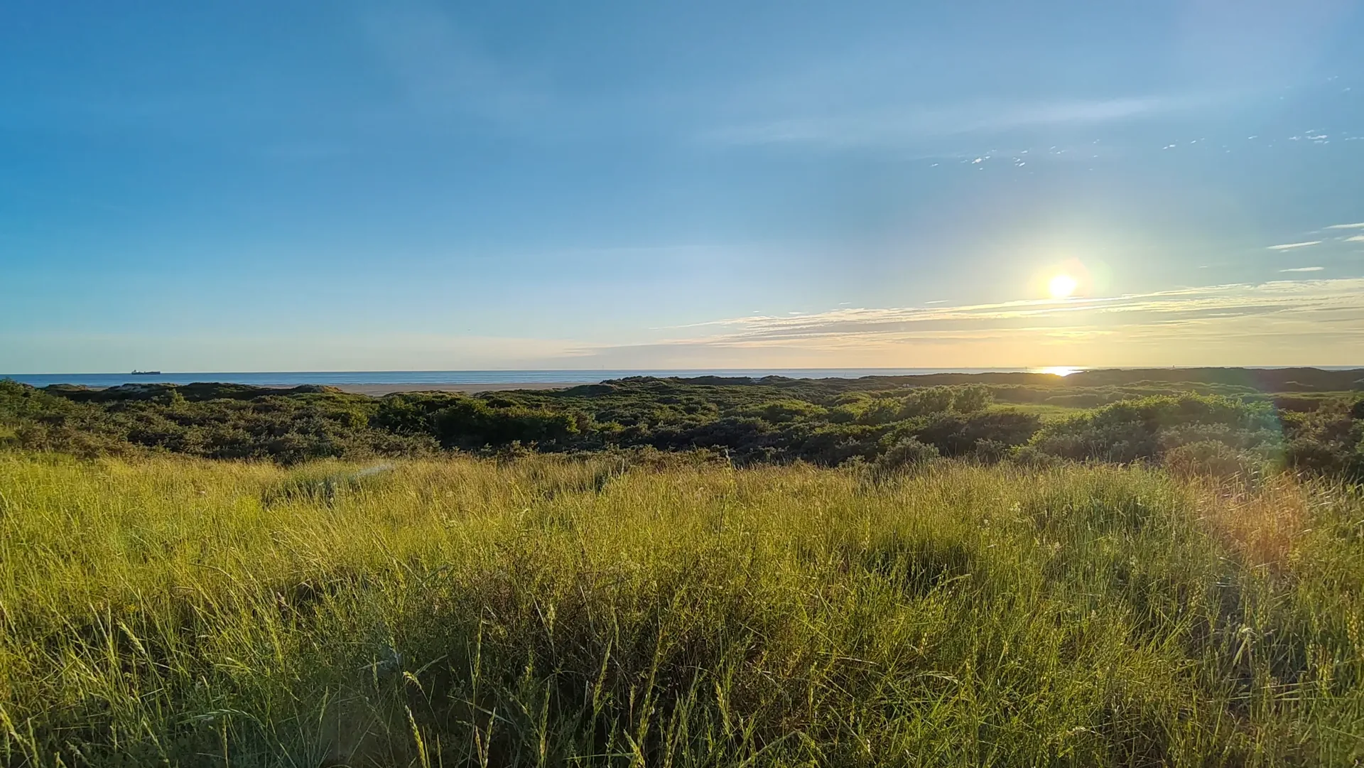 Ultra-wide photo shot on the Fairphone 6: a coastal grassland at sunset